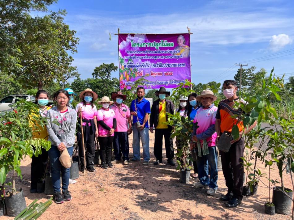 โครงการปลูกไม้ผล