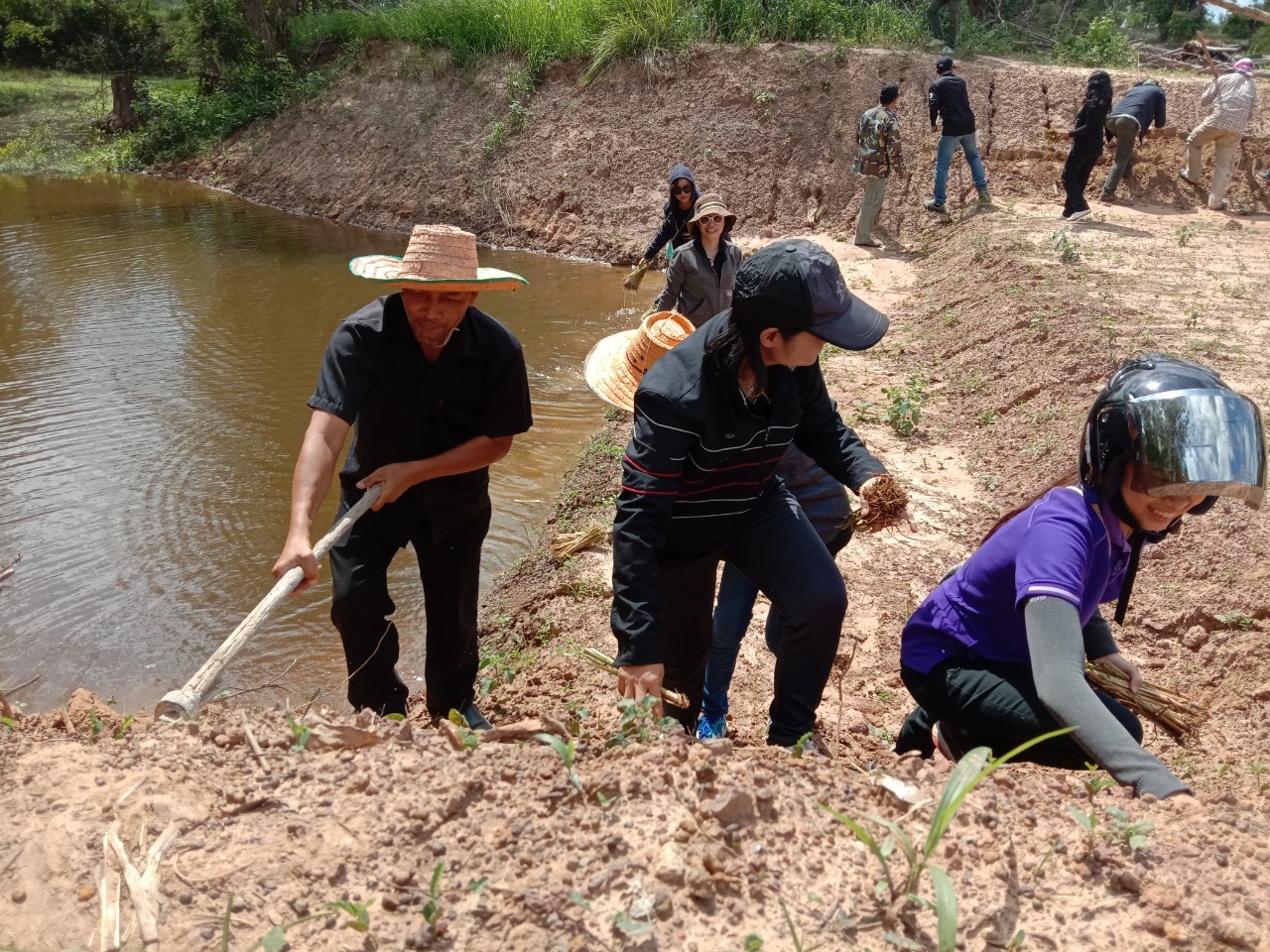 โครงการปลูกหญ้าแฝกรักษาหน้าดิน