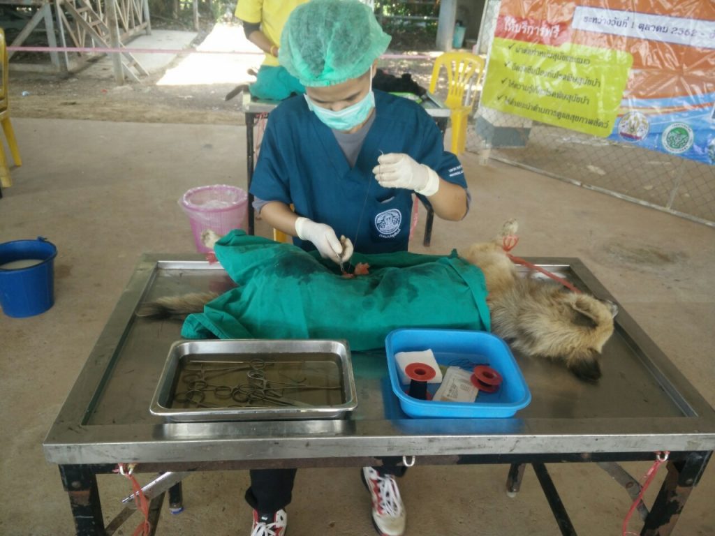 โครงการป้องกันและควบคุมโรคพิษสุนัขบ้า